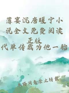 薄宴沉唐暖宁小说全文免费阅读正版