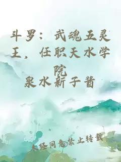 斗罗：武魂五灵王，任职天水学院