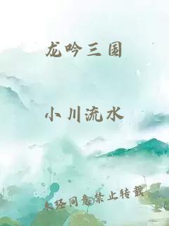 龙吟三国