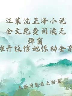 江茉沈正泽小说全文免费阅读无弹窗