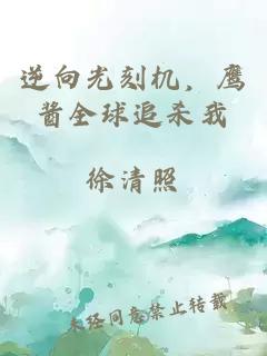 逆向光刻机，鹰酱全球追杀我