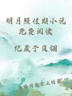 明月照佳期小说免费阅读