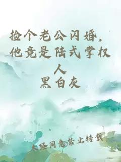 捡个老公闪婚，他竟是陆式掌权人