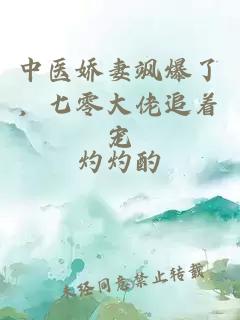 中医娇妻飒爆了，七零大佬追着宠