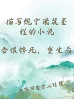 描写魏宁瑶裴墨程的小说