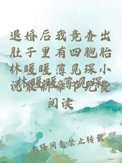退婚后我竟查出肚子里有四胞胎林暖暖薄见琛小说最新章节免费阅读