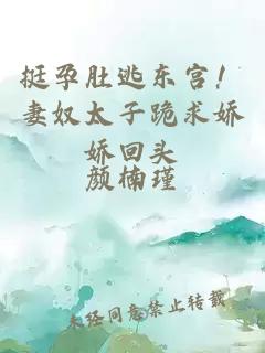 挺孕肚逃东宫！妻奴太子跪求娇娇回头