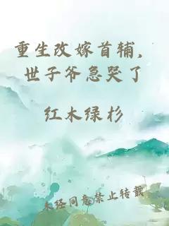 重生改嫁首辅，世子爷急哭了