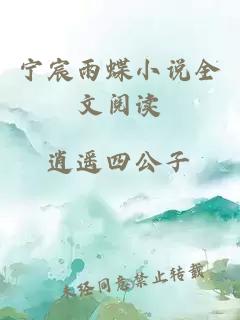 宁宸雨蝶小说全文阅读
