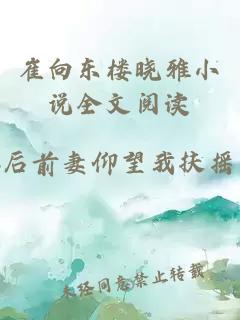 崔向东楼晓雅小说全文阅读