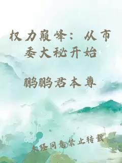 权力巅峰：从市委大秘开始