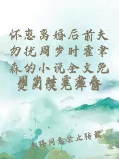 怀崽离婚后前夫勿扰周岁时霍聿森的小说全文免费阅读无弹窗