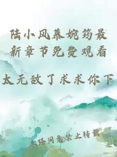 陆小风慕婉筠最新章节免费观看