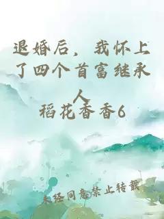 退婚后，我怀上了四个首富继承人