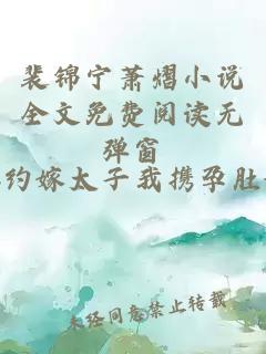 裴锦宁萧熠小说全文免费阅读无弹窗