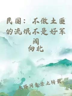 民国：不做土匪的流氓不是好军阀