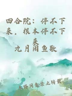 四合院：停不下来，根本停不下来