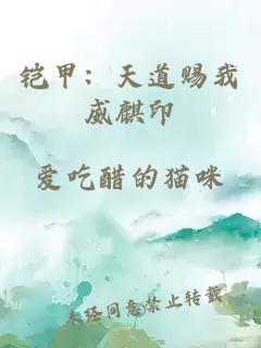 铠甲：天道赐我威麒印