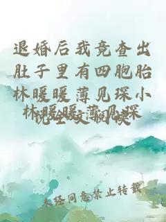 退婚后我竟查出肚子里有四胞胎林暖暖薄见琛小说全文阅读