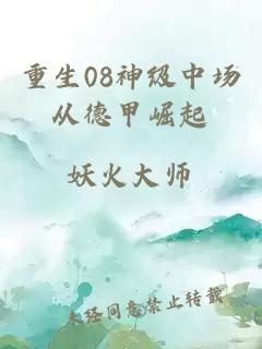重生08神级中场从德甲崛起