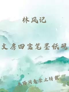 林风记