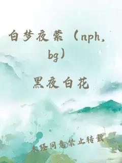 白梦夜萦（nph，bg）