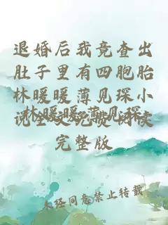 退婚后我竟查出肚子里有四胞胎林暖暖薄见琛小说全文免费阅读完整版