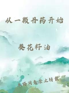 从一颗丹药开始