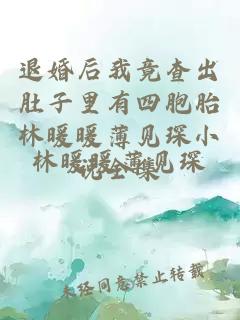 退婚后我竟查出肚子里有四胞胎林暖暖薄见琛小说全集