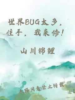 世界BUG太多，住手，我来修！