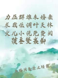 力压群雄未婚妻求我低调叶天林火儿小说免费阅读全文最新
