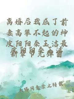 离婚后我成了前妻高攀不起的神皮阳阳秦玉洁最新章节无弹窗