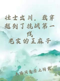 壮士出川，我穿越到了抗战第一线