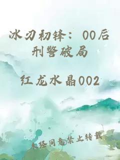 冰刃初锋：00后刑警破局