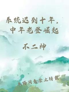 系统迟到十年，中年老登崛起