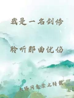 我是一名剑修