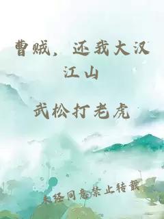 曹贼，还我大汉江山