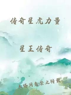 传奇星虎力量