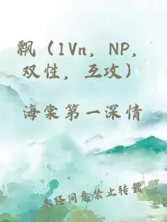 飘（1Vn，NP，双性，互攻）