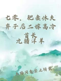 七零，肥妻休夫弃子后二嫁高冷首长