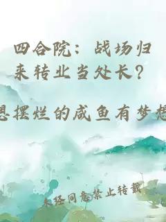 四合院：战场归来转业当处长？