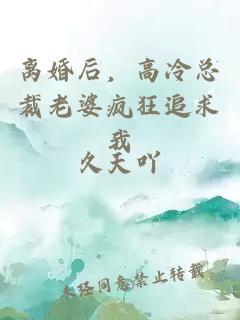 离婚后，高冷总裁老婆疯狂追求我