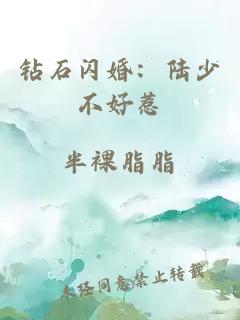 钻石闪婚：陆少不好惹