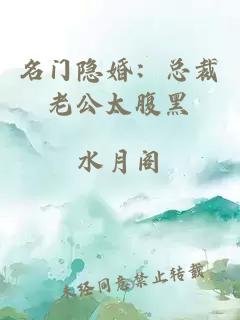 名门隐婚：总裁老公太腹黑