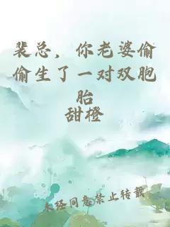 裴总，你老婆偷偷生了一对双胞胎