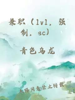 兼职（1v1，强制，sc）