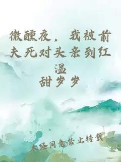 微醺夜，我被前夫死对头亲到红温