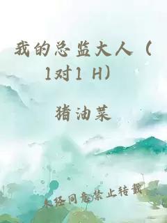 我的总监大人（1对1 H）