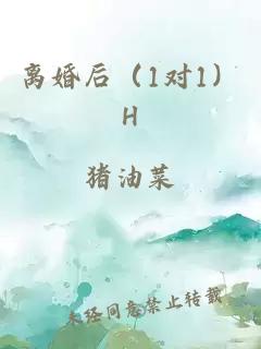 离婚后（1对1）H