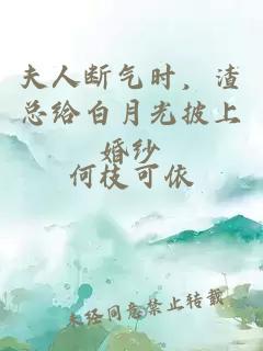 夫人断气时，渣总给白月光披上婚纱